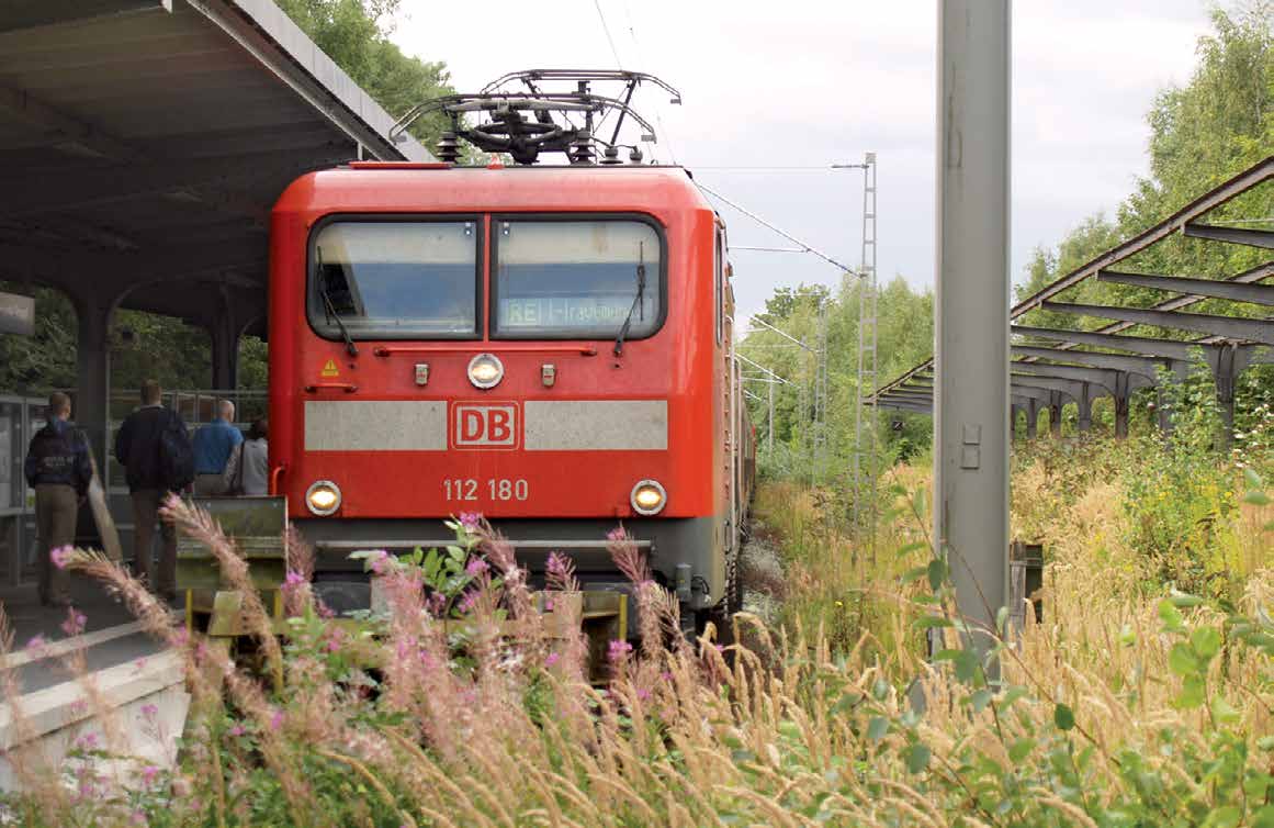 2013_RV_06